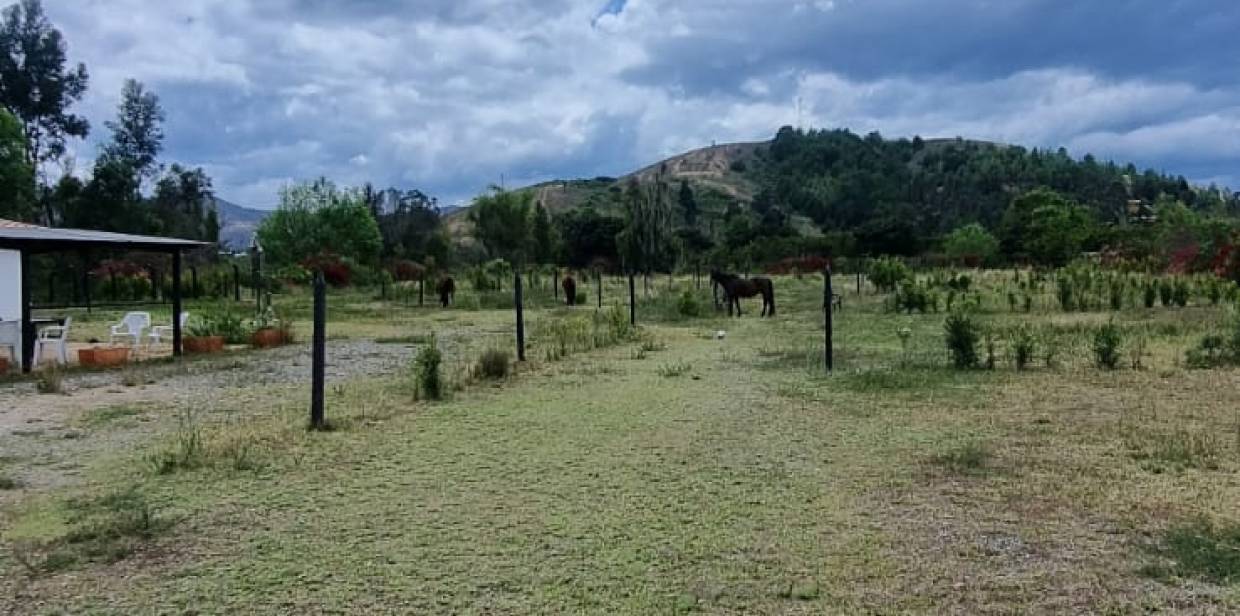 FINCA EN VENTA